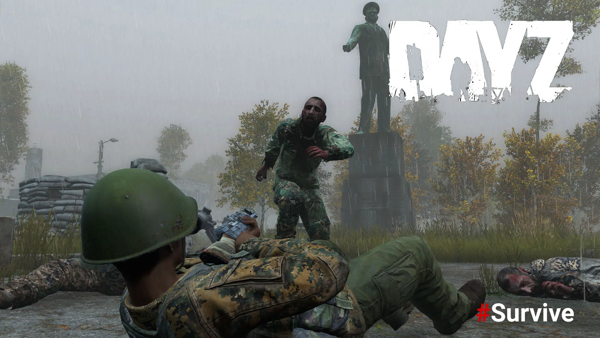 dayz survival